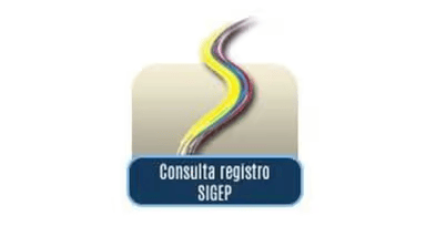 Consulta Registro SIGEP